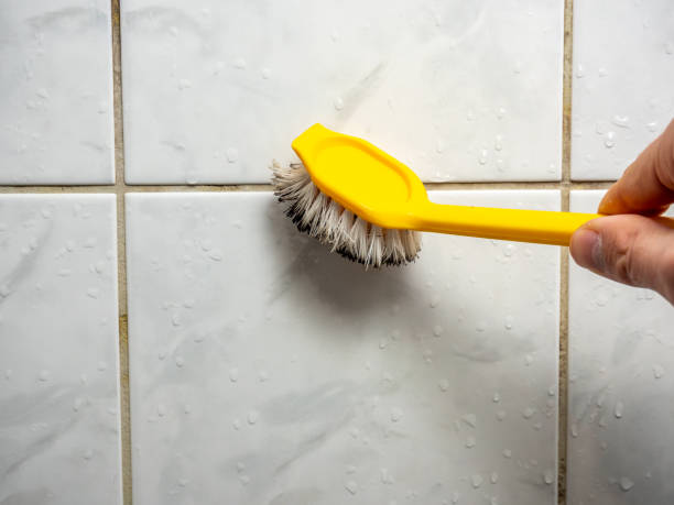 Best Home Mold Removal  in Greilickville, MI
