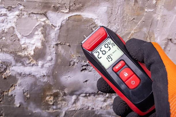 Crawl Space Mold Removal in Greilickville, MI