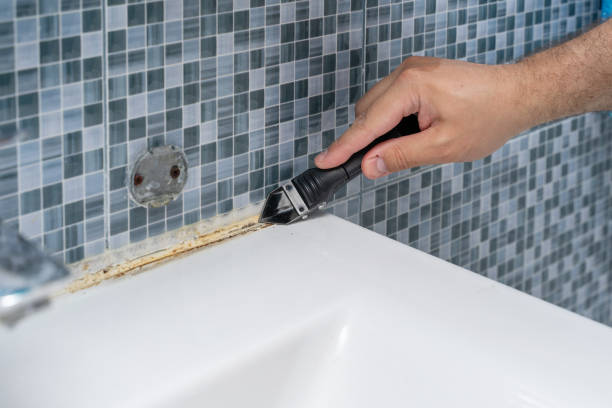 Best Mold Testing  in Greilickville, MI