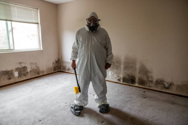 Best Crawl Space Mold Removal  in Greilickville, MI